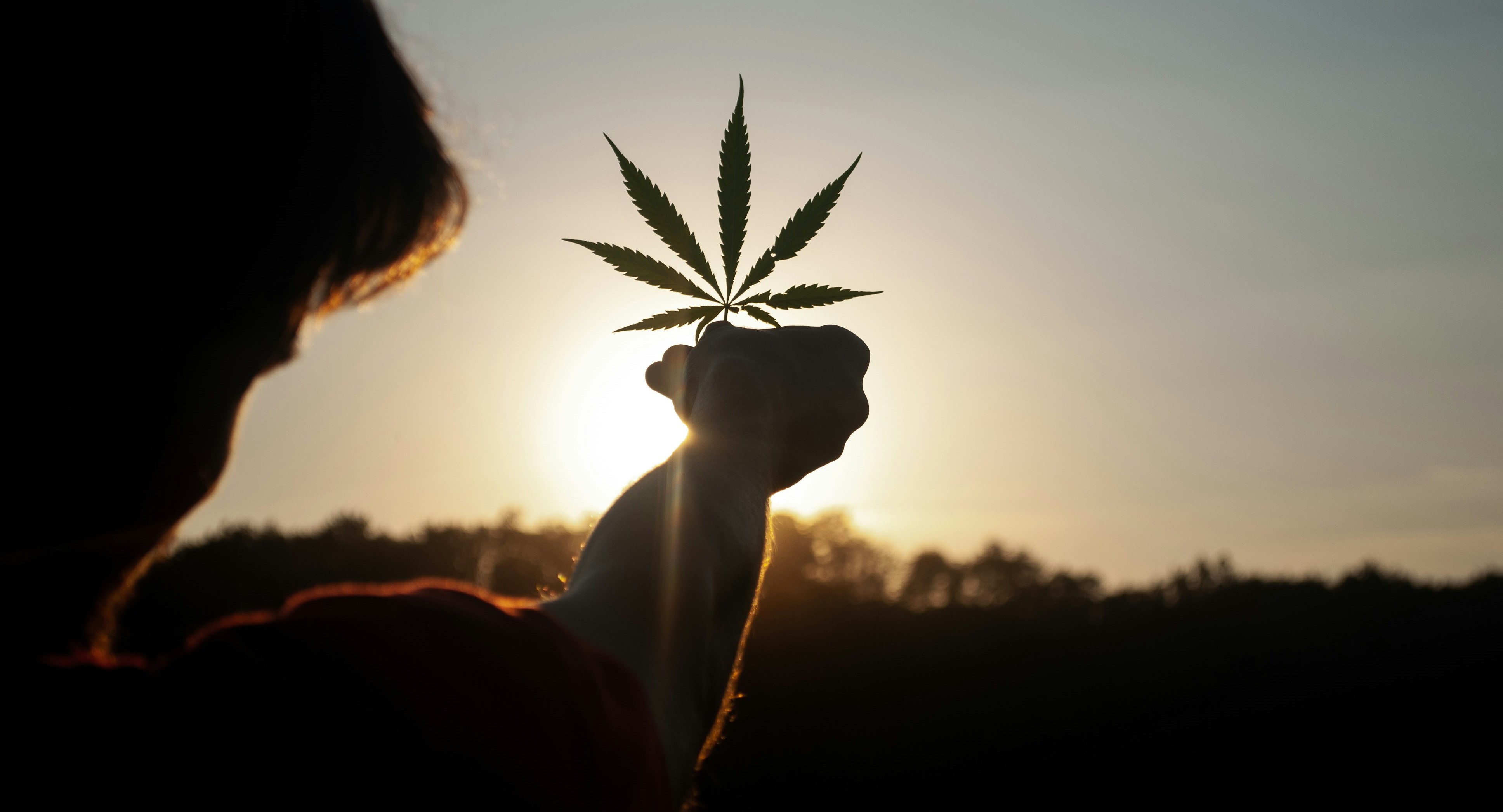 Image of CBD products