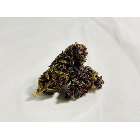 Purple Haze CBD